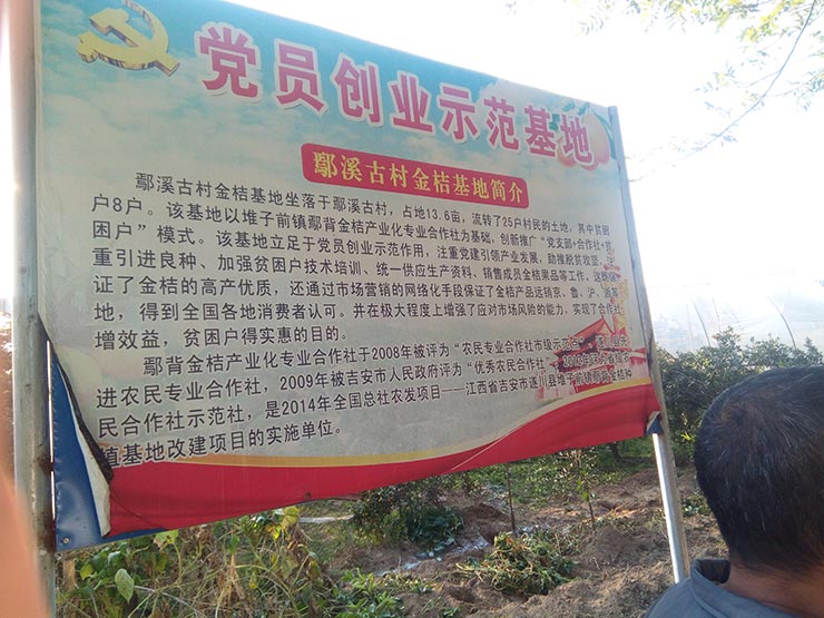 w66.����(�й���)_���������콢��