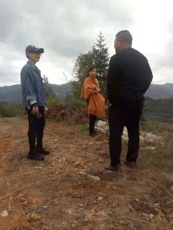 w66.����(�й���)_���������콢��