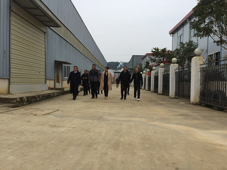 w66.����(�й���)_���������콢��