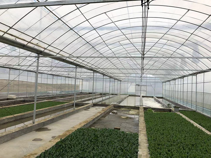 w66.����(�й���)_���������콢��