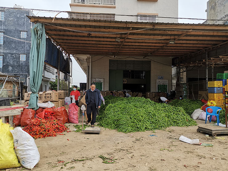 w66.����(�й���)_���������콢��