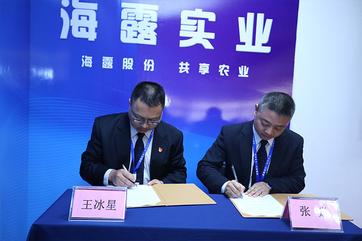 w66.����(�й���)_���������콢��