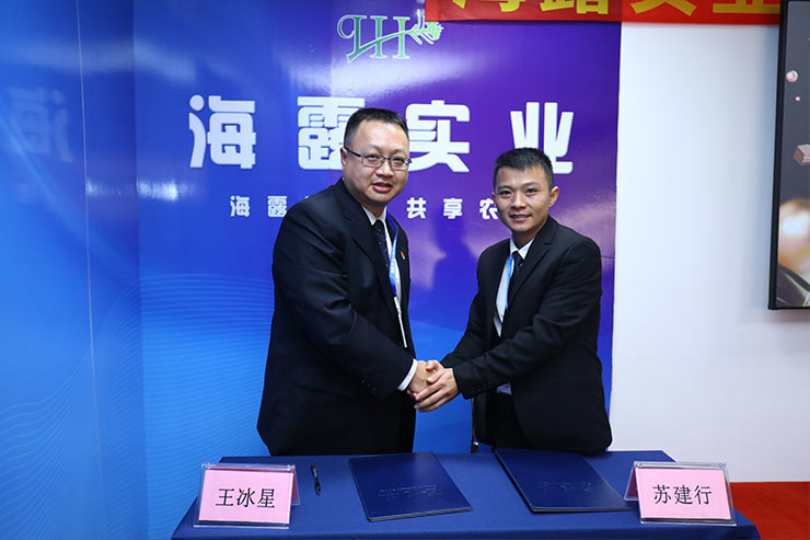 w66.����(�й���)_���������콢��