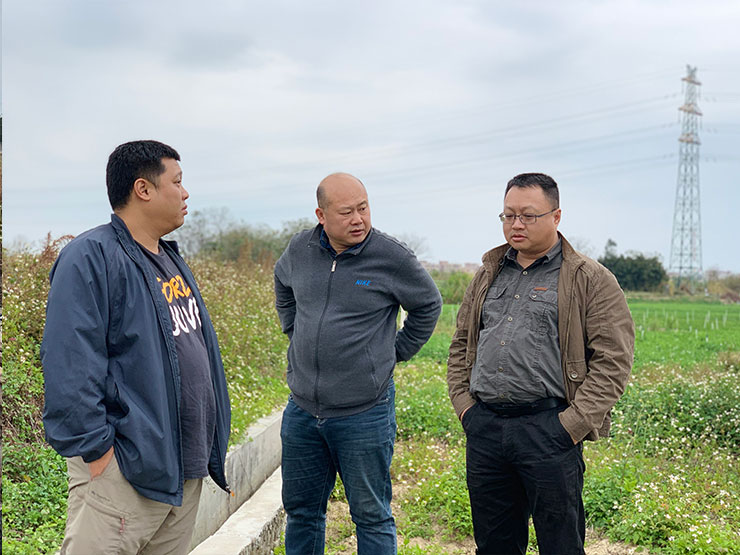 w66.����(�й���)_���������콢��