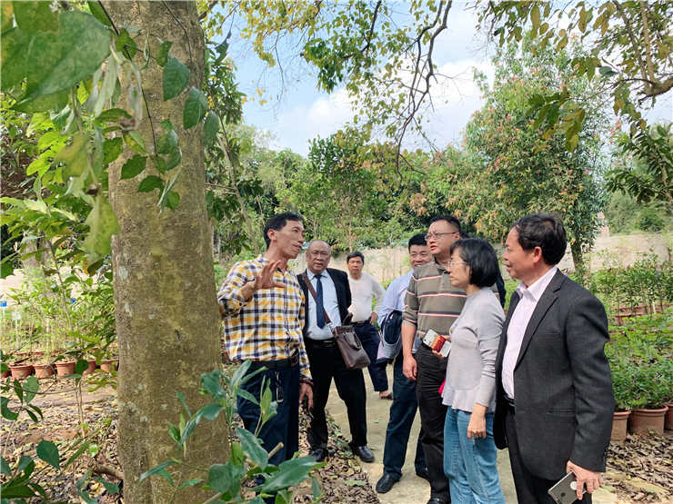 w66.����(�й���)_���������콢��