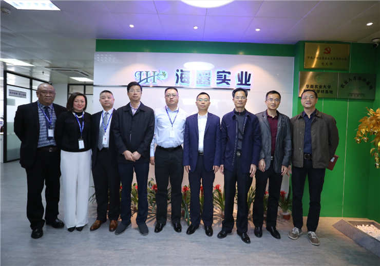 w66.����(�й���)_���������콢��