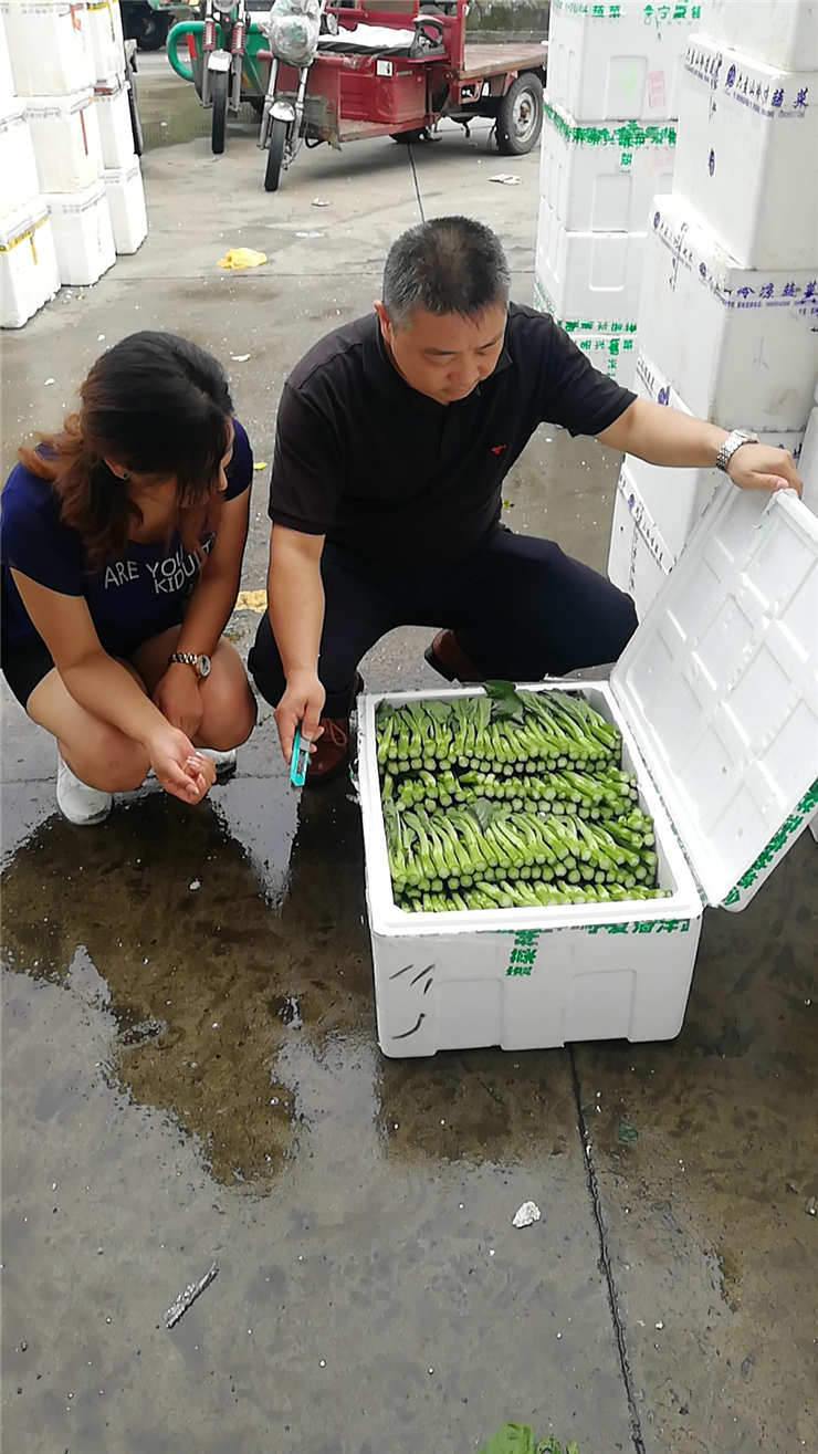 w66.����(�й���)_���������콢��