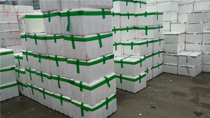 w66.����(�й���)_���������콢��