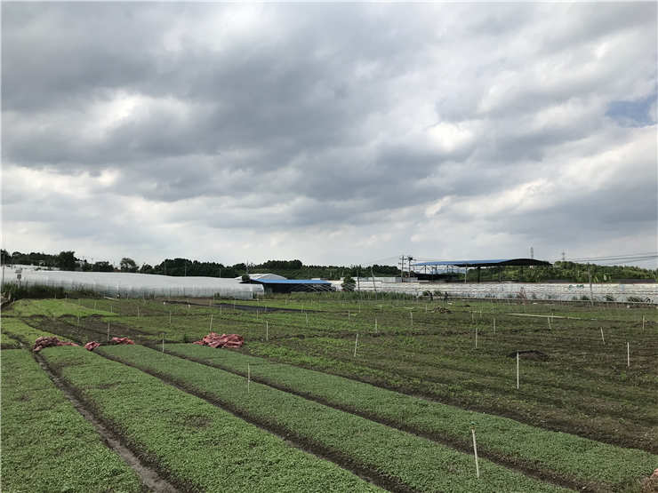 w66.����(�й���)_���������콢��