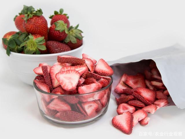 w66.����(�й���)_���������콢��