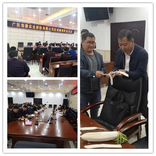 w66.����(�й���)_���������콢��