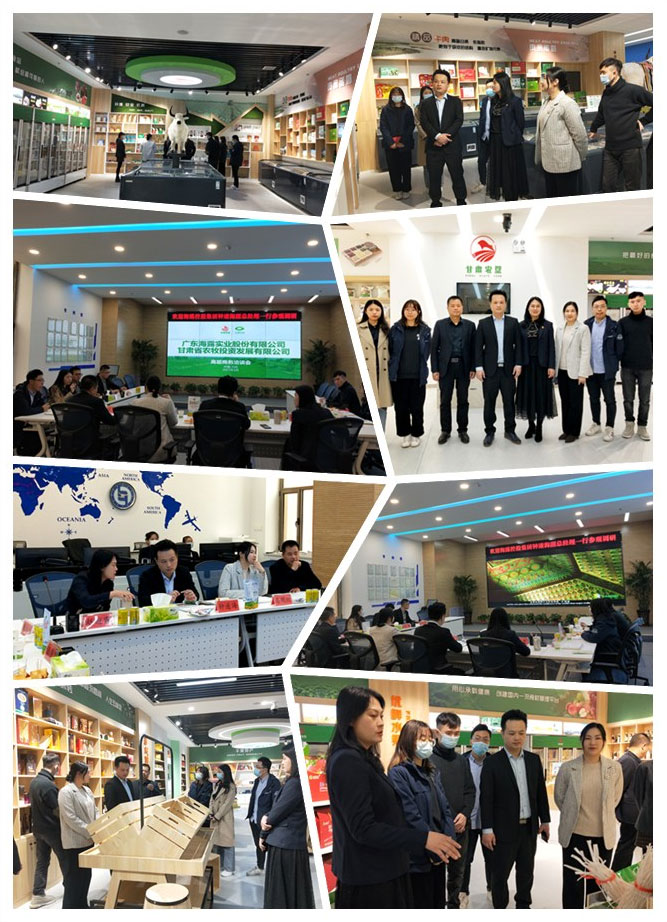 w66.����(�й���)_���������콢��