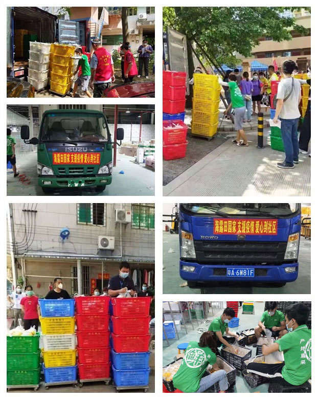 w66.����(�й���)_���������콢��