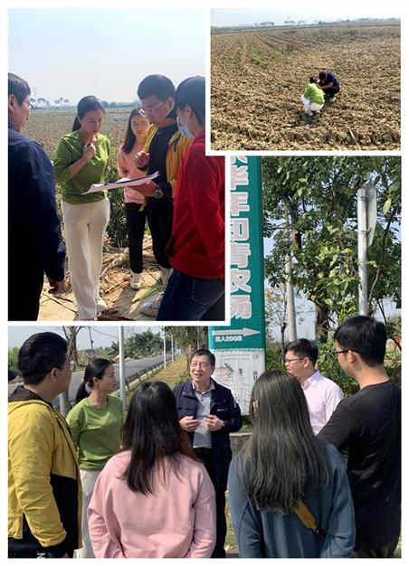 w66.����(�й���)_���������콢��