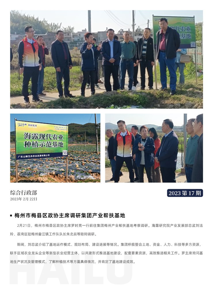 w66.����(�й���)_���������콢��