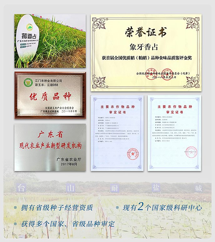 w66.����(�й���)_���������콢��