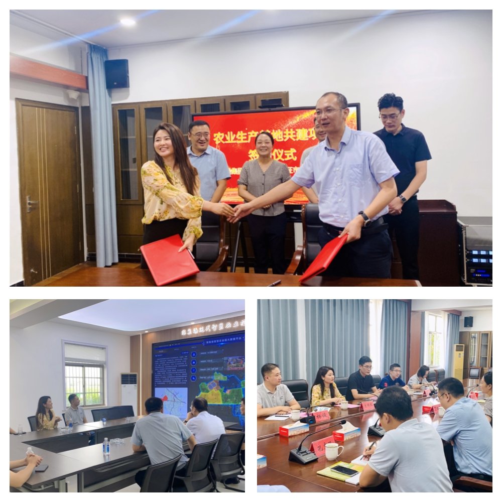 w66.����(�й���)_���������콢��