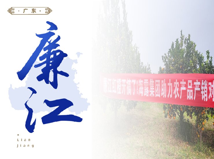 w66.����(�й���)_���������콢��