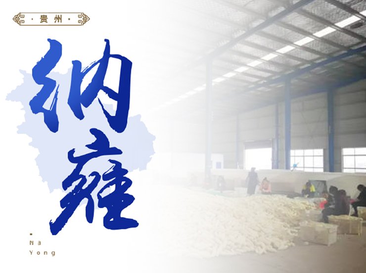 w66.����(�й���)_���������콢��