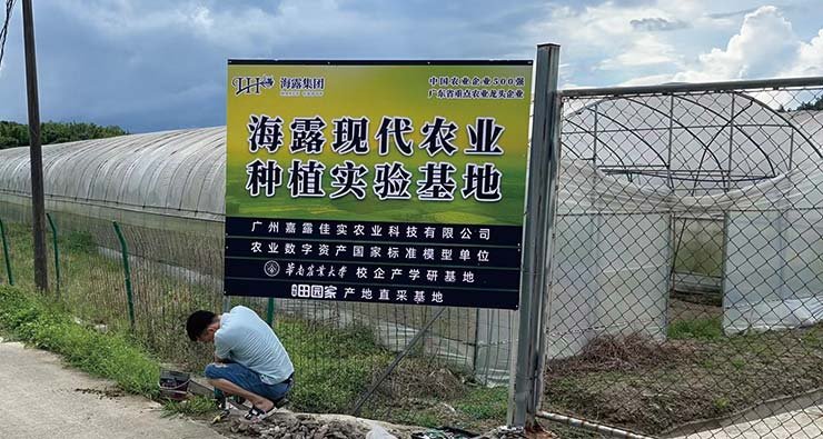 w66.����(�й���)_���������콢��