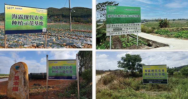 w66.����(�й���)_���������콢��