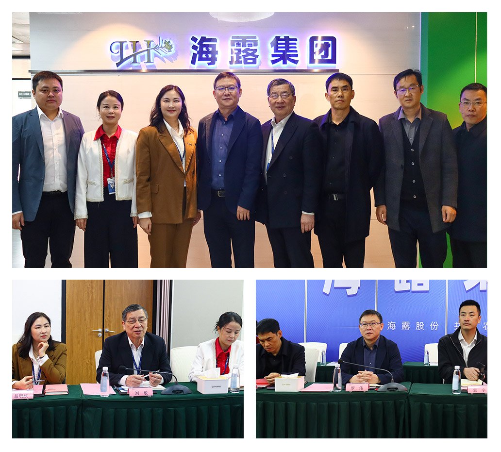 w66.����(�й���)_���������콢��