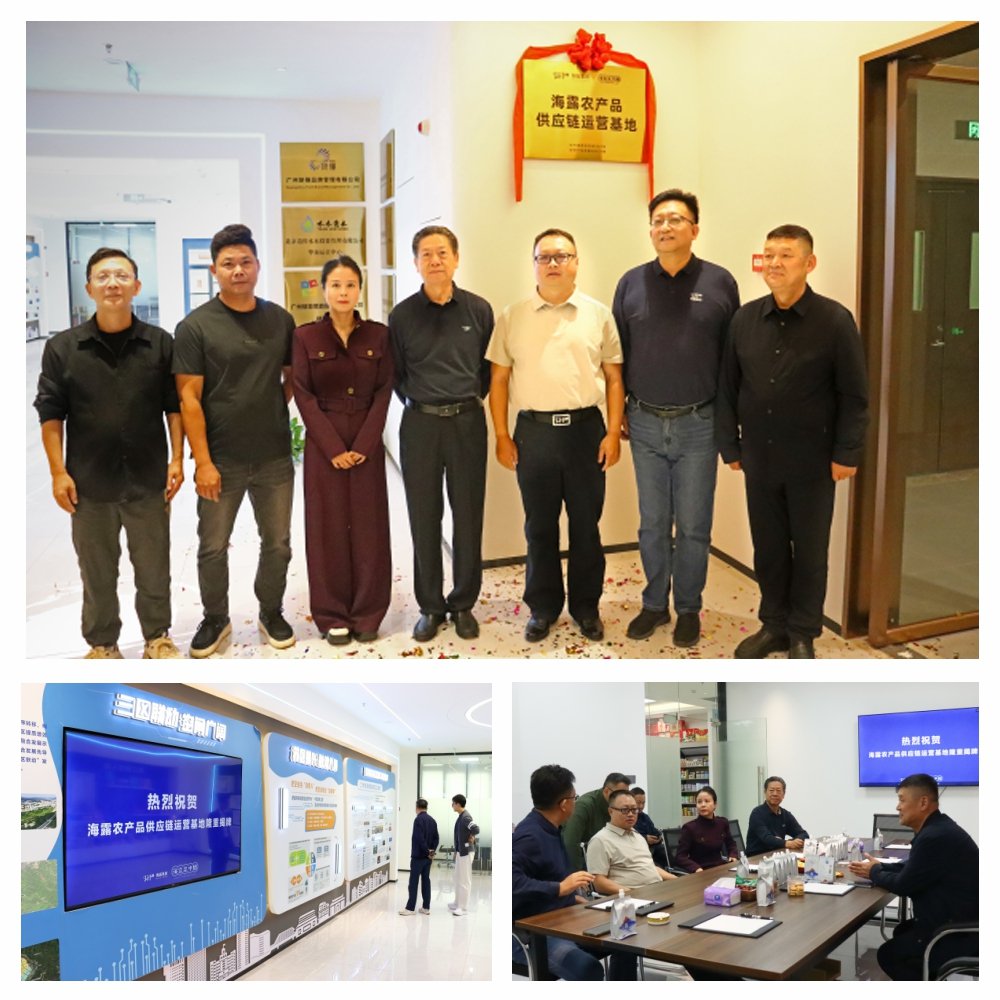 w66.����(�й���)_���������콢��